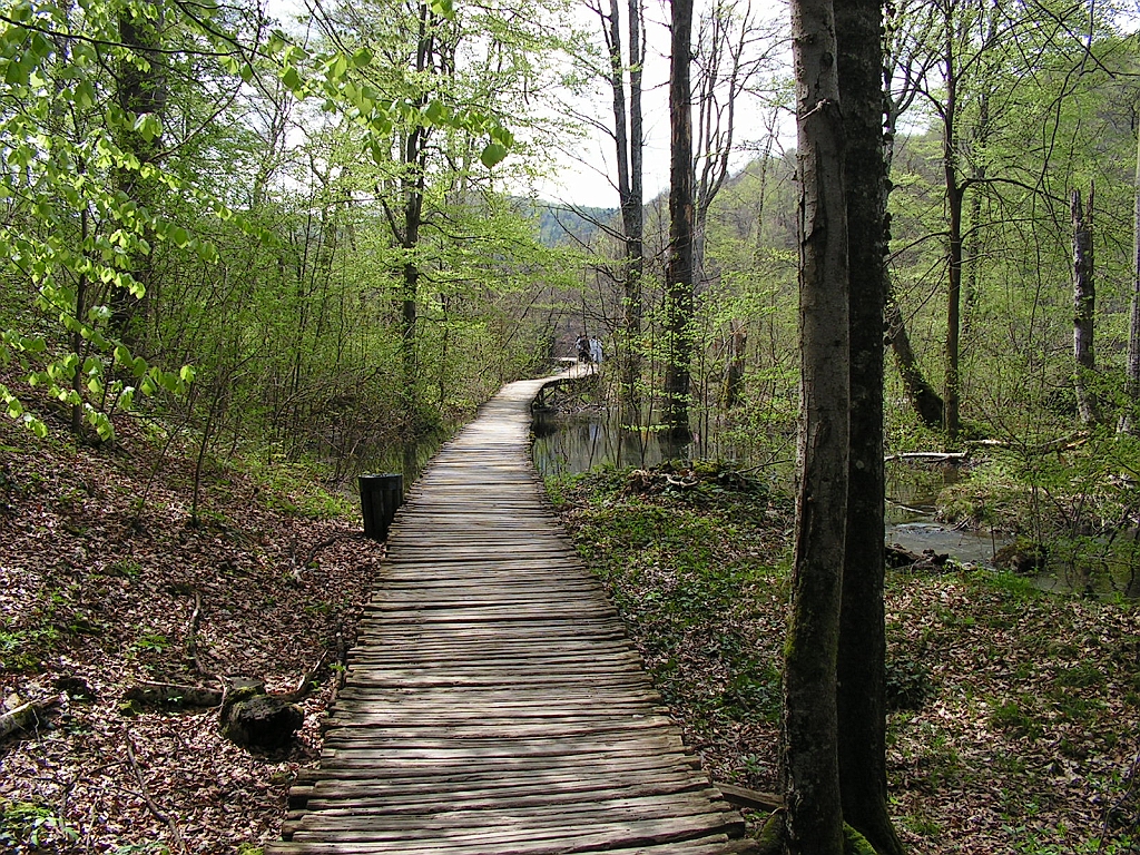 PICT0964.JPG