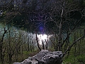 PICT0033