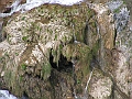 PICT0484