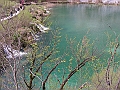 PICT0492