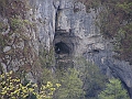 PICT0497
