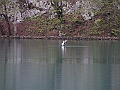 PICT0512