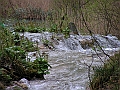 PICT0515