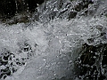 PICT0537