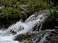 PICT0538