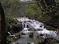 PICT0539