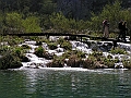 PICT0545