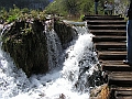 PICT0551