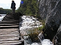 PICT0602