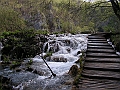 PICT0611