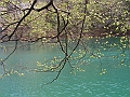 PICT0636