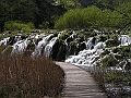 PICT0638