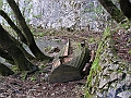 PICT0656
