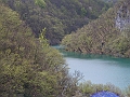 PICT0726