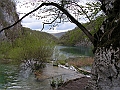 PICT0755