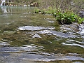 PICT0768