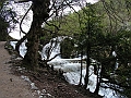 PICT0783