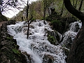 PICT0785