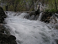 PICT0786