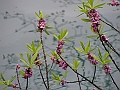 PICT0796