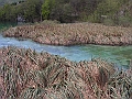 PICT0814