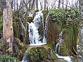 PICT0848