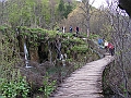 PICT0852