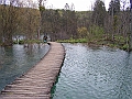 PICT0860