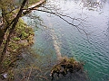PICT0867