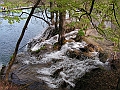 PICT0873