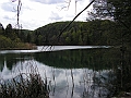 PICT0875