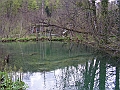 PICT0905