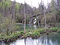 PICT0906
