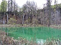 PICT0913