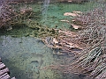 PICT0917