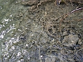 PICT0932