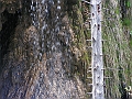PICT0933