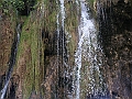 PICT0934