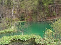 PICT0944
