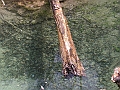 PICT0947