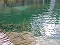 PICT0951