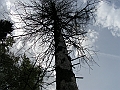 PICT0954