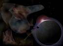 space