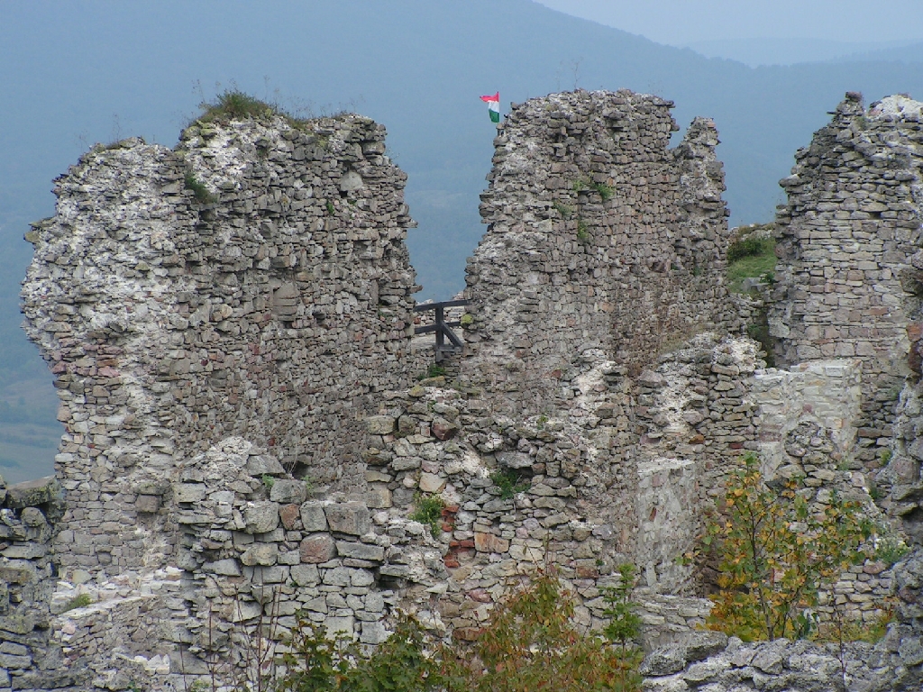 PICT0206.JPG