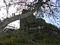 PICT0230