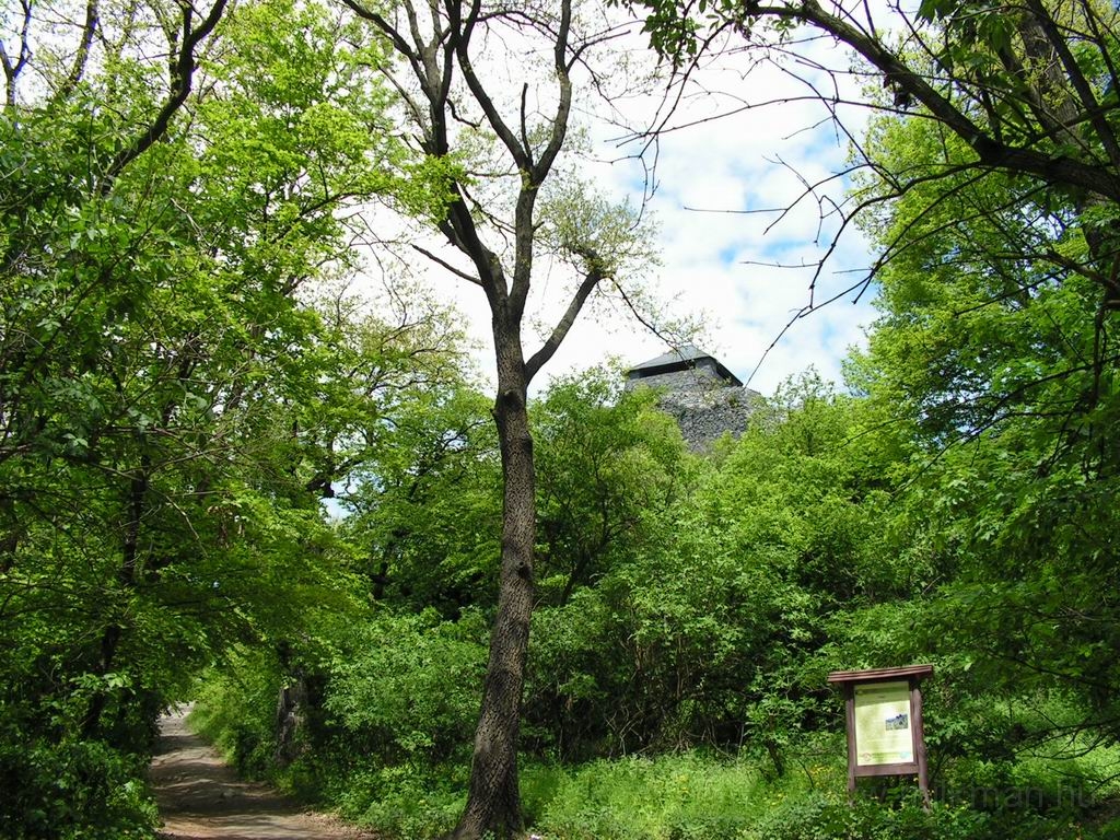 Resize_of_PICT7437.JPG
