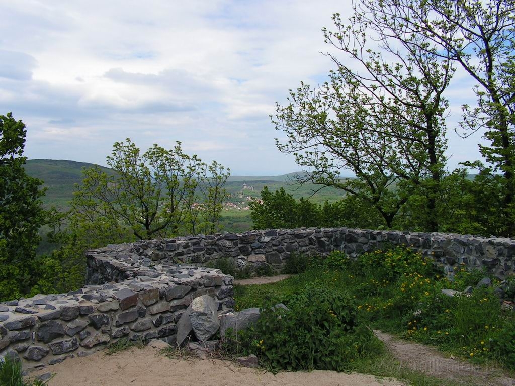 Resize_of_PICT7448.JPG