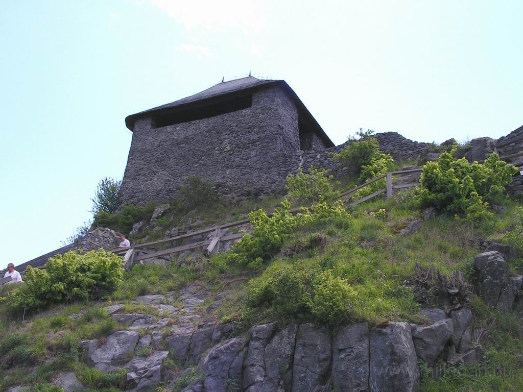 Resize_of_PICT7450.JPG
