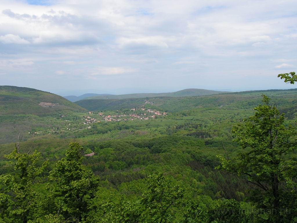Resize_of_PICT7454.JPG