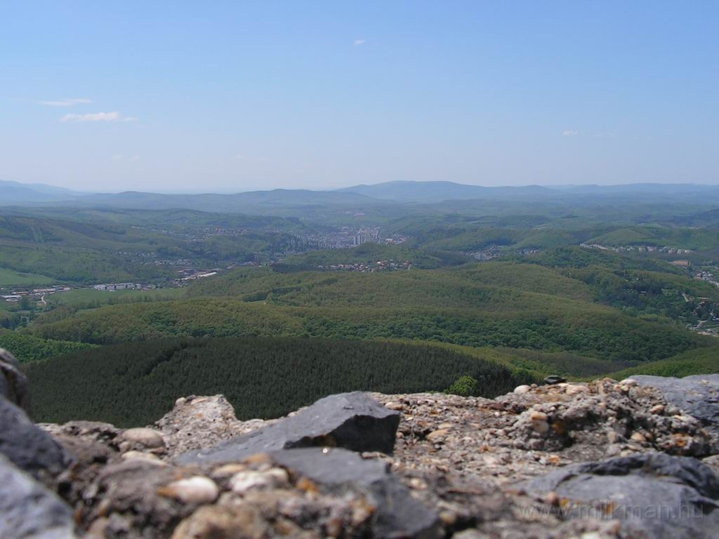 Resize_of_PICT7468.JPG